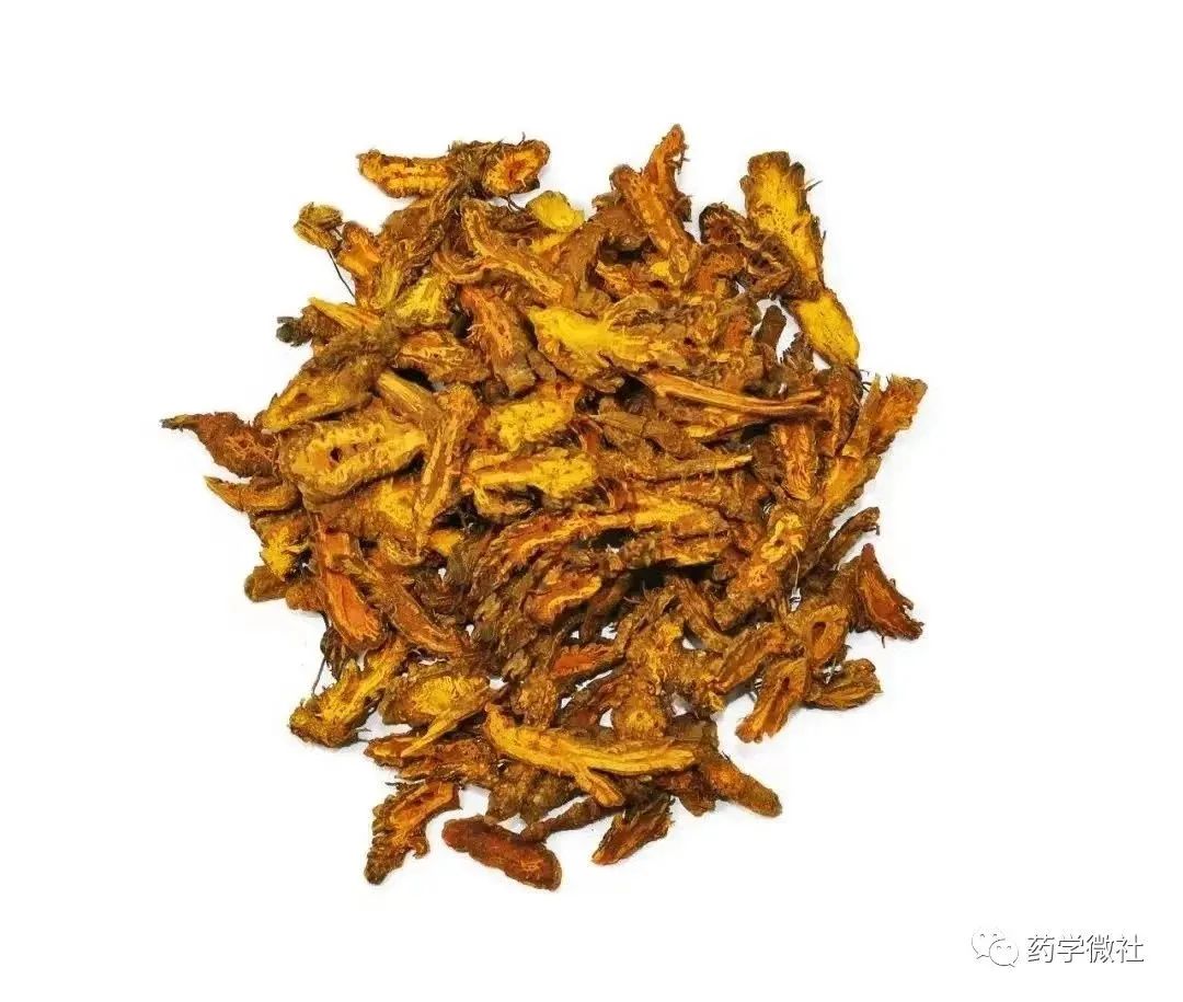 Cultivation and Management of Huanglian (Coptis chinensis)