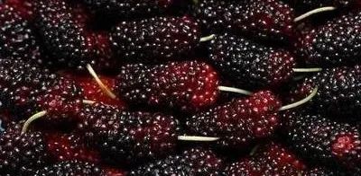 Five Methods to Nourish Yin for Those with Yin Deficiency