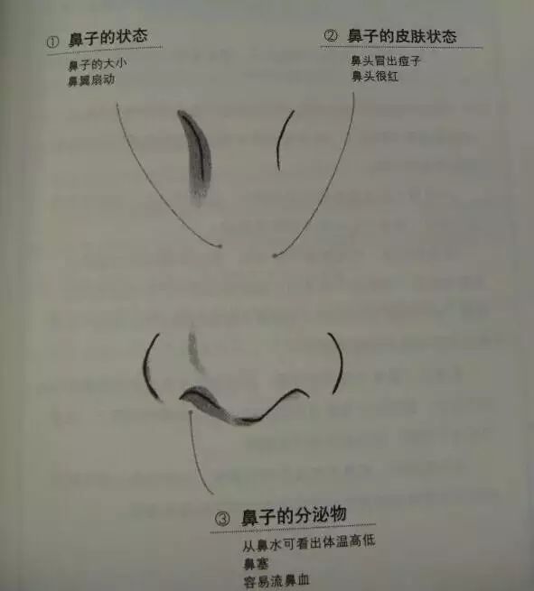 A Comprehensive Guide to TCM Observation Diagnosis