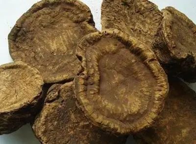 Several Nauseating Remedies from the Compendium of Materia Medica: Can They Really Be Used as Medicine?