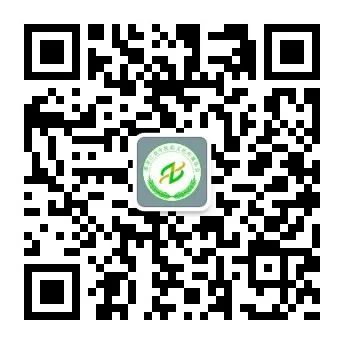 Daily Herb Study: Jin Yin Hua (Honeysuckle Flower)