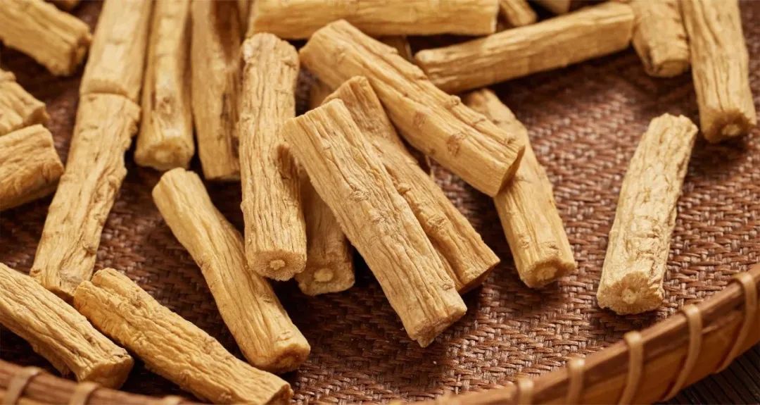 Dang Shen: The "Little Ginseng" for Nourishing Qi and Blood