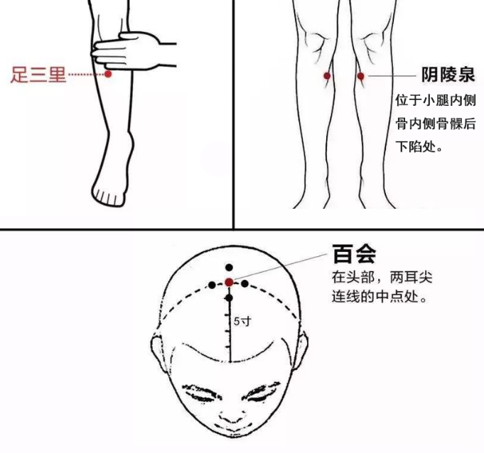 Identification and Management of Qi Deficiency Constitution in Traditional Chinese Medicine
