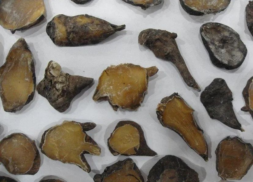 Aconite (Fu Zi) - Properties, Uses, and Preparation in Traditional Chinese Medicine