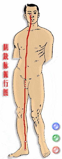 Liu Lihong: Discussing Dao Yin and An Jiao