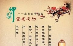 Foundations of Traditional Chinese Medicine: Understanding Xu and Shi