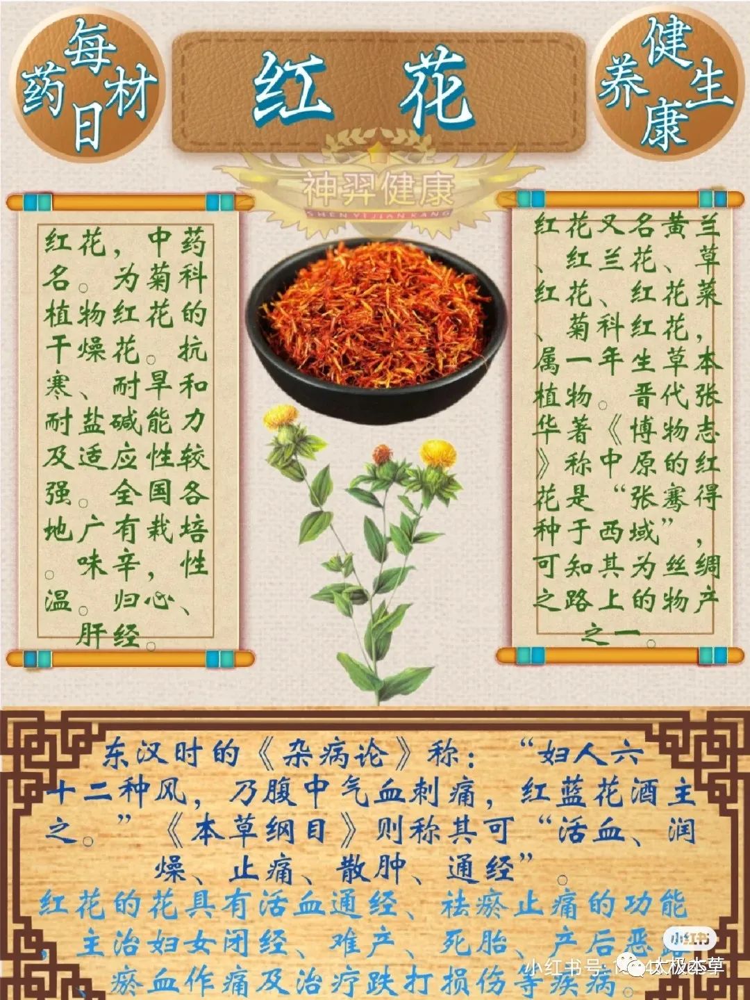 The Benefits of Safflower: Foot Soaks, Wine Infusions, and Treatment for Injuries and Cardiovascular Diseases