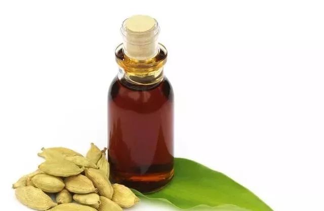 Five Integrated Methods of Dampness Elimination in Traditional Chinese Medicine: Eat This Daily to Feel Lighter