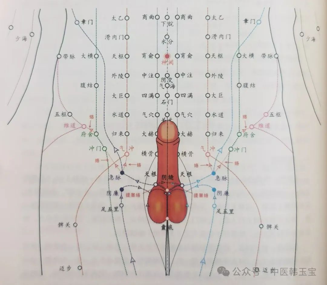 Meridian Studies I: Wu Men Meridian - Jue Yin Meridian