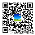 Experience in Treating Damp-Heat Syndrome in Traditional Chinese Medicine