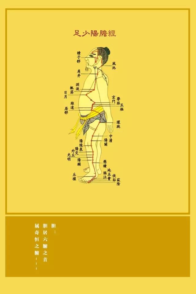 Understanding the Eight Extraordinary Meridians in Traditional Chinese Medicine