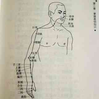 The Huangdi Neijing: Meridians, Determining Life and Death, Addressing Hundreds of Diseases