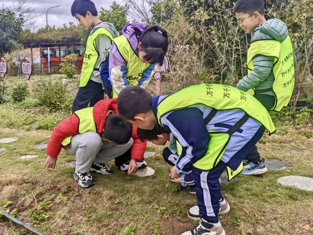 Exploring Medicinal Herbs and Agricultural Experiences: Class 2 of 2020 at Park Primary School Enjoys Springtime in the Fields