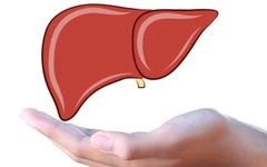 Traditional Chinese Medicine: Liver Qi Stagnation? Learn 5 Acupoints to Soothe the Liver and Relieve Depression, Nature's Own Longdan Xiegan Wan