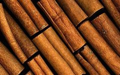 The Classroom of Chinese Herbs - Cinnamon