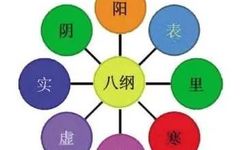 Comprehensive Guide to the Eight Principles of TCM Diagnosis