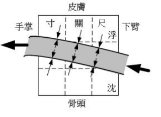 Two Methods for Differentiating Pulse Patterns: Responding to Change with Constancy