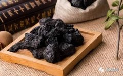 Understanding Shudi (Rehmannia Glutinosa) in Traditional Chinese Medicine