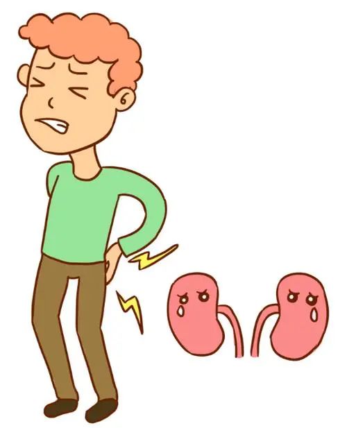 How to Differentiate Between Kidney Yin Deficiency, Kidney Yang Deficiency, and Kidney Essence Deficiency Based on Symptoms?
