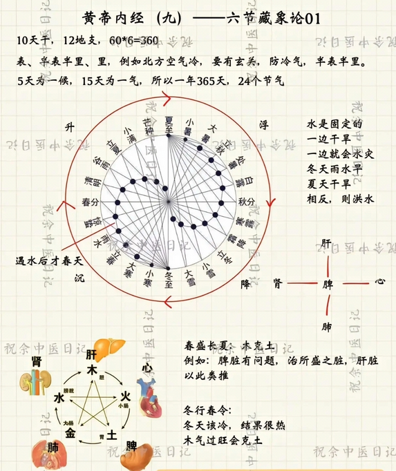 Mind Map of the Huangdi Neijing (Essential Content)