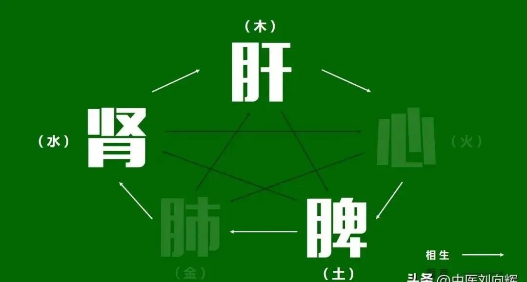 Six Traditional Chinese Medicines to Clear Damp-Heat from the Lower Jiao and Relieve Discomfort