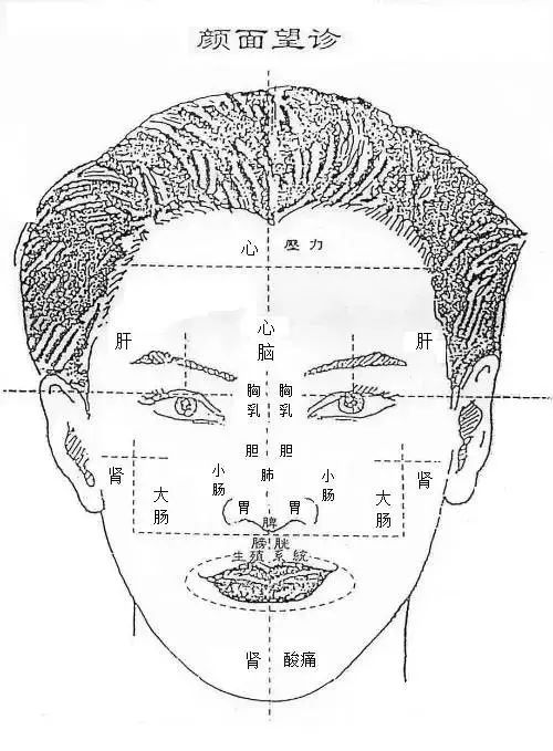Comprehensive Guide to Holographic Facial Diagnosis