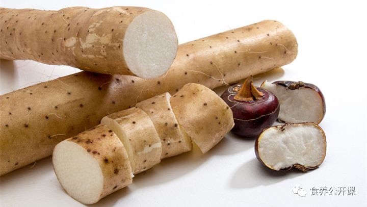 Comprehensive Guide to Dietary Supplements by Health Experts!