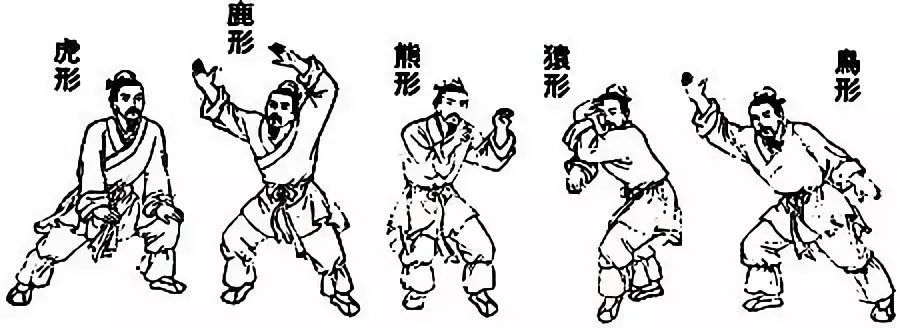 Traditional Chinese Medicine Guided Exercises: Simple Movements for Disease Prevention and Treatment