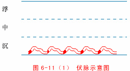 Illustrated Guide to 28 Dynamic Pulse Diagnoses in Traditional Chinese Medicine