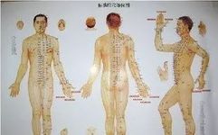 The Most Comprehensive Atlas of Acupuncture Points and Their Effects!