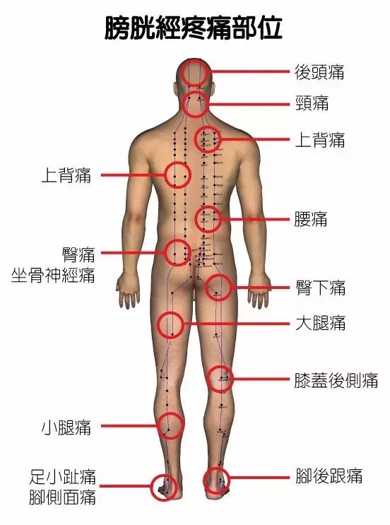 Correspondence Table of Emotions and Pain Related to Blocked Meridians