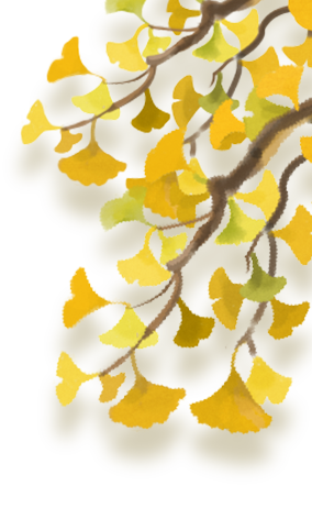 Warming Yang Cupping: Balancing Yin and Yang to Prevent Autumn Dryness