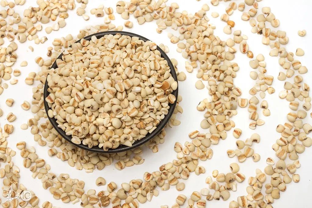 Traditional Chinese Medicine: The 5 Benefits and Effects of Coix Seed (Yi Yi Ren) and Its Side Effects