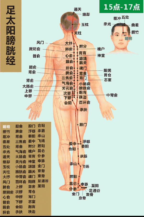 Understanding the Essentials of the Huangdi Neijing in 10 Minutes (Save for Study)