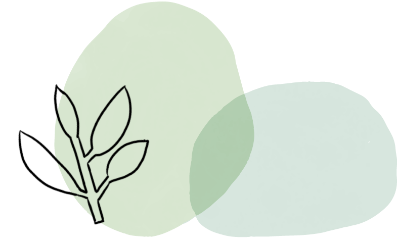 An Overview of the Six Patterns of Differentiation and Treatment for Exogenous Diseases