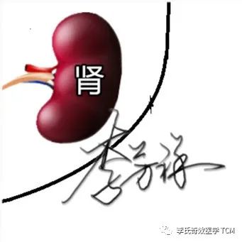 Tongue Diagnosis and the Five Organs Series Collection