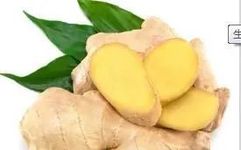 Understanding the Differences Among Various Types of Ginger in Traditional Chinese Medicine