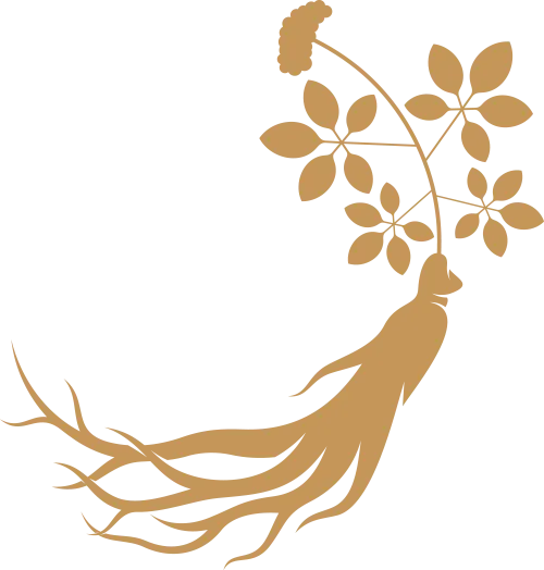 Understanding Fu Ling (Poria) in Traditional Chinese Medicine
