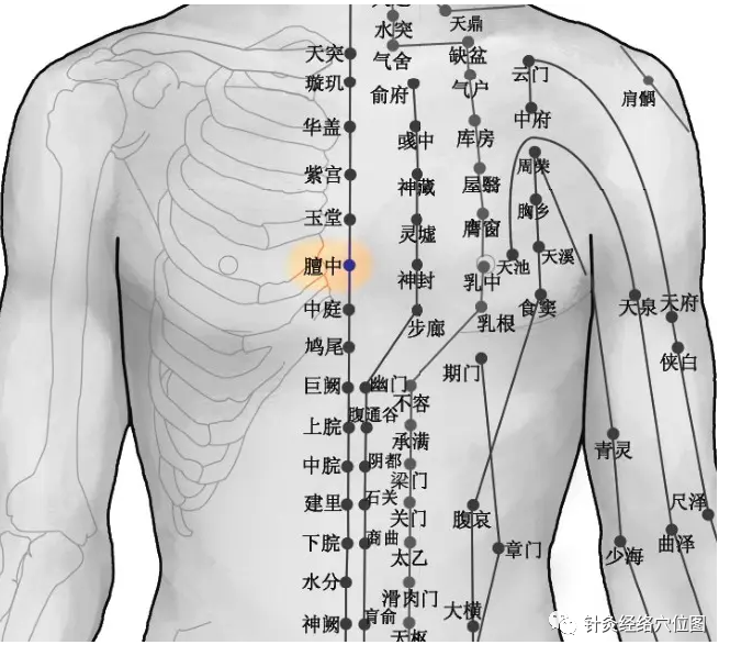 Mastering the Use of the 'Fifteen Luo Points' for Swift Therapeutic Effects