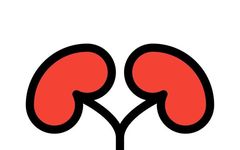 What is Kidney Yang Deficiency? Symptoms of Kidney Yang Deficiency
