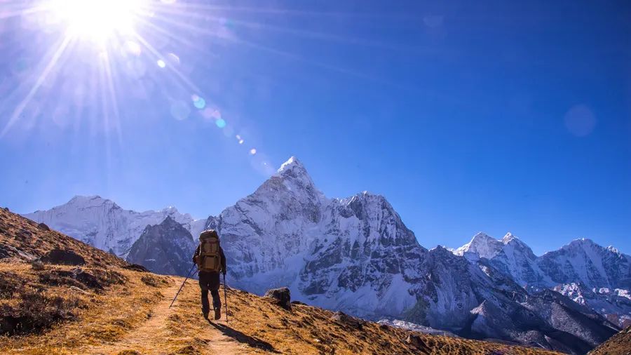 Feeling Down in Spring? TCM Believes Emotions Significantly Impact Health