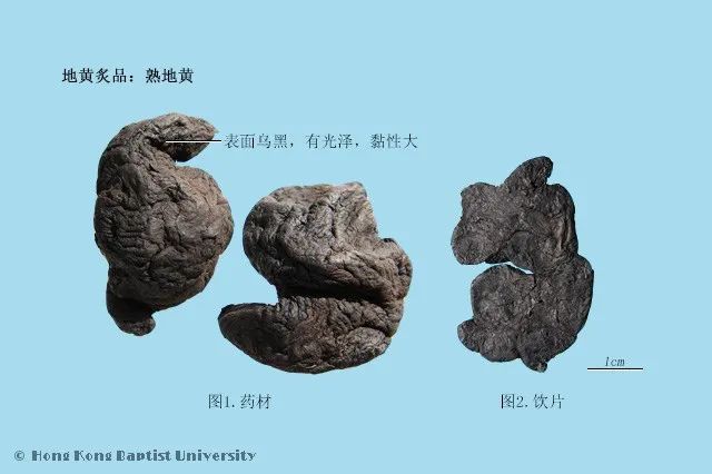 Shu Di Huang: The Sacred Medicine for Nourishing Blood and Yin