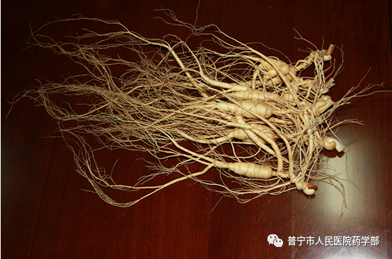 Understanding the Classification of Ginseng