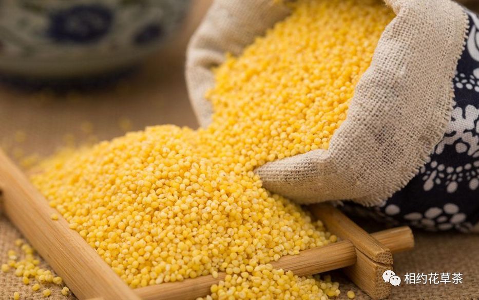 Nutritional Benefits of Various Grains and Beans (Part 1)
