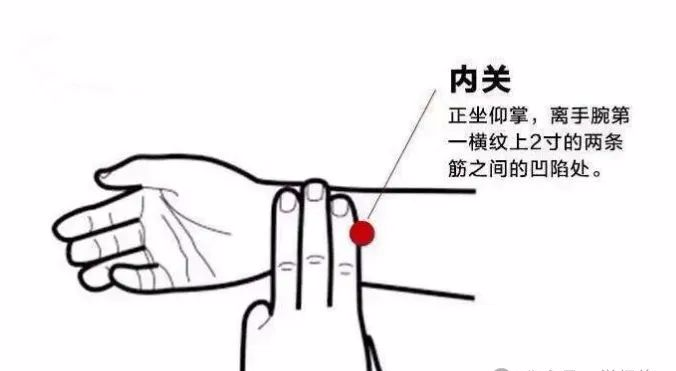 Common Acupuncture Points in Traditional Chinese Medicine for Reference