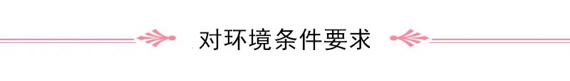 Overview of Astragalus (Huang Qi)