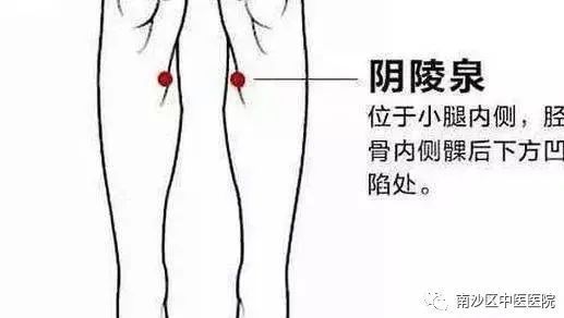 Understanding TCM Body Constitutions: Qi Deficiency