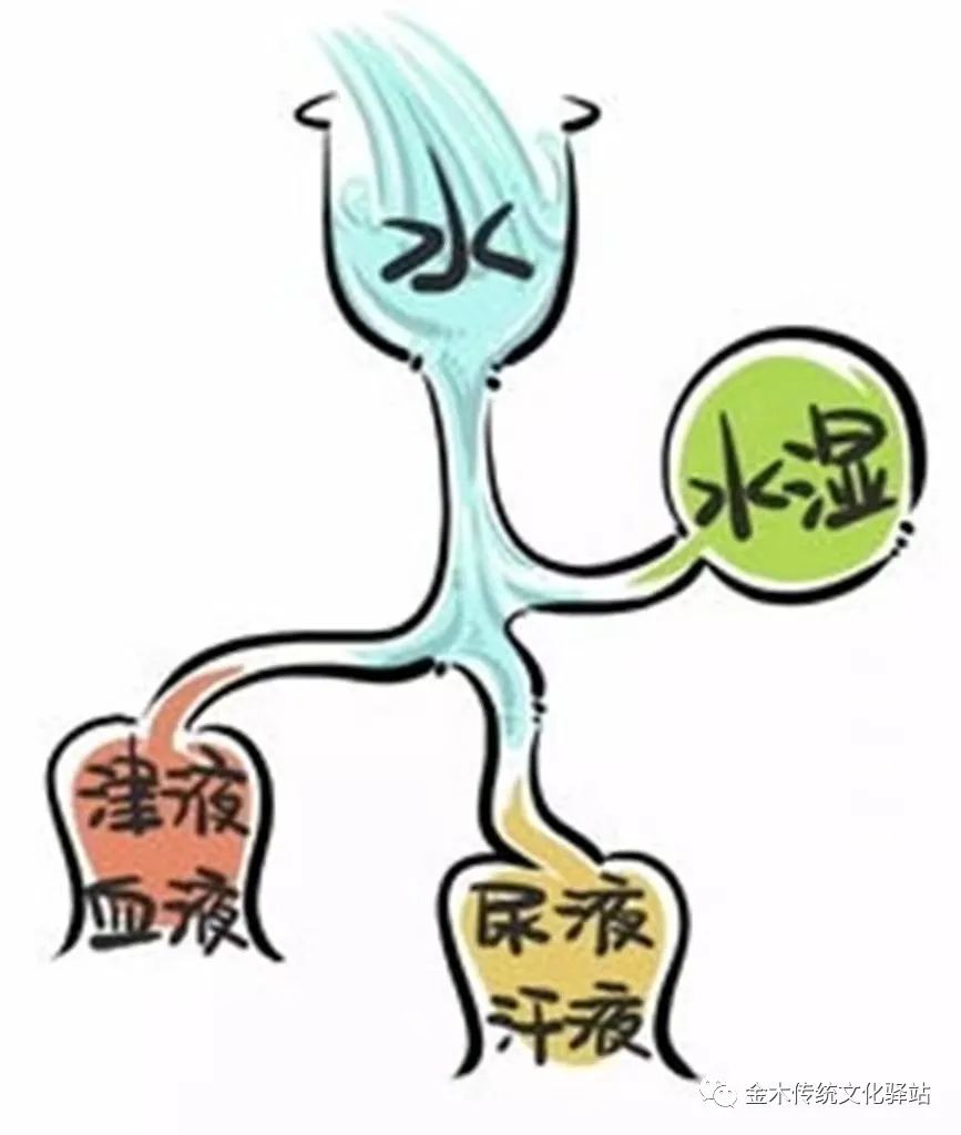 The Eight Principles of TCM Diagnosis: A Comprehensive Guide