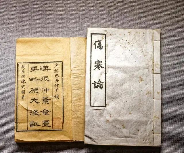 A Simplified Version of the Treatise on Cold Damage: Easy to Understand and Worth Collecting