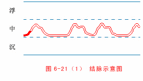 The Twenty-Eight Pulses and All Pulse Patterns in Traditional Chinese Medicine (Animated Illustrations)
